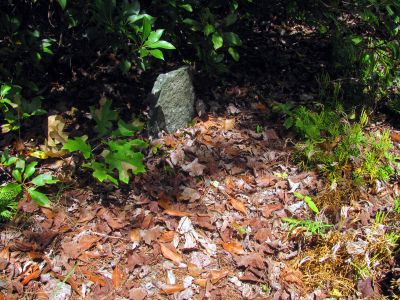 Rock markers in the old graveyard
