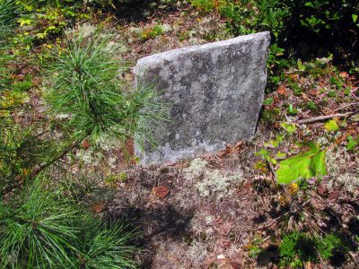 Rock markers in the old graveyard
