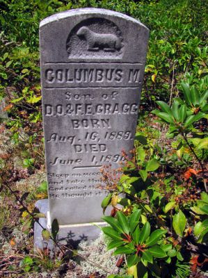 Tombstone in the old graveyard
