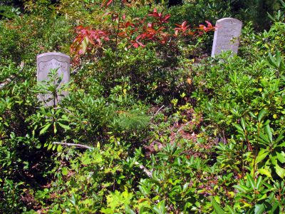 Tombstone in the old graveyard
