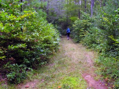 Walking the old road away from the graveyard
