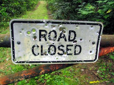 gated toad to the graveyard
