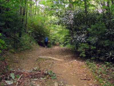 Trail after the graveyard

