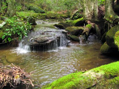 small cascade along the trail
