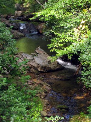 Webb Creek
