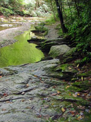 trail beside Gragg Prong Creek
