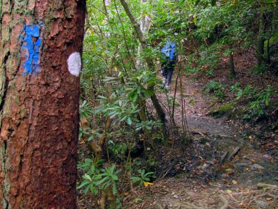 Bol'Dar on the MST following the Gragg Prong Creek
