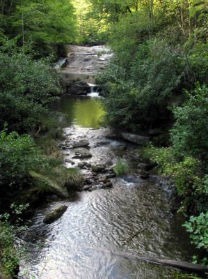 Nice waterfalls beside trail on the Gragg Prong Creek
