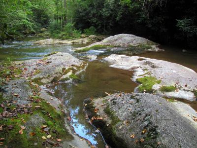 Gragg Prong Creek
