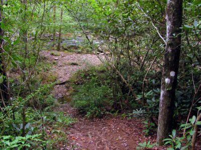intersection of Lost Cove Creek and Gragg Prong Creek
