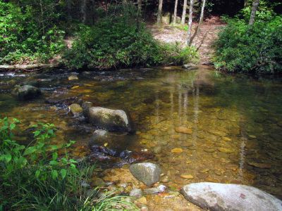 Crossing Lost Cove Creek 
