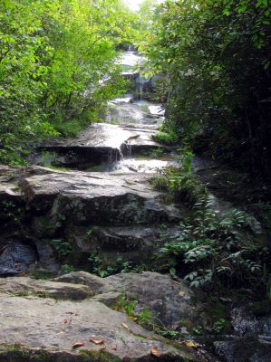 Feeder Falls at Huntfish Falls
