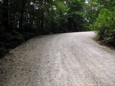 almost to the next trail head on left which will take us down to N. Harper Creek
