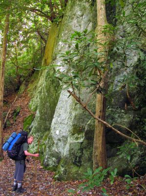 Bol'Dar beside tall rocks on the MST beside N. Harper Creek
