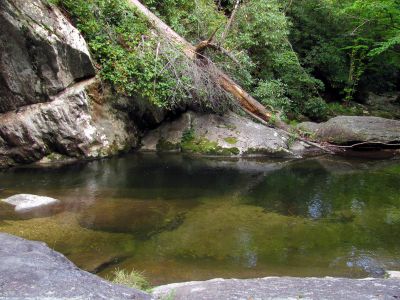 Pool at bottom of Bard Falls

