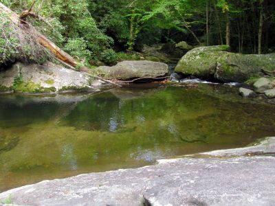 Pool at bottom of Bard Falls
