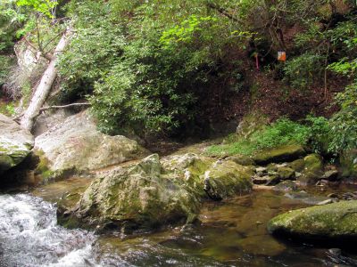 strange flags hanging across the creek near the base of Bard Falls
