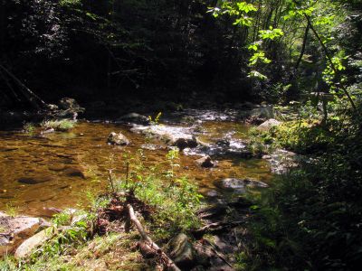 crossing N. Harper Creek 
