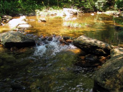 crossing N. Harper Creek 
