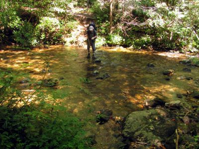 crossing N. Harper Creek 
