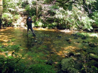 crossing N. Harper Creek 
