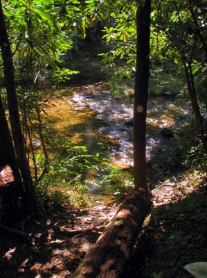crossing N. Harper Creek 
