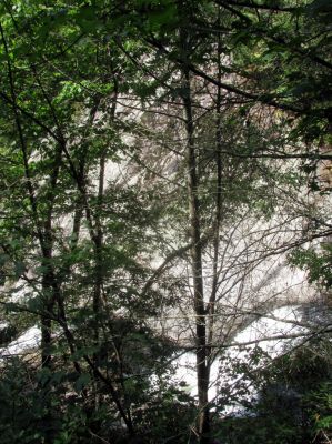 Looking down on Harper Falls
