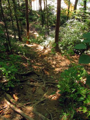 Looking down at the place we would camp on night 4
