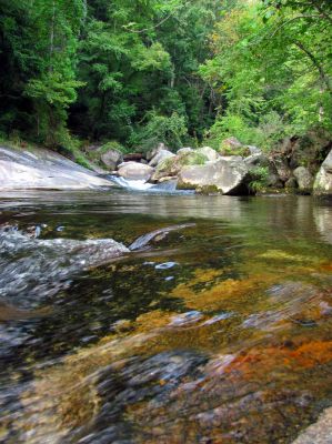 Harper Creek  just below Harper Falls 

