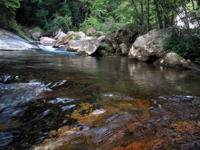 Harper Creek  just below Harper Falls 
