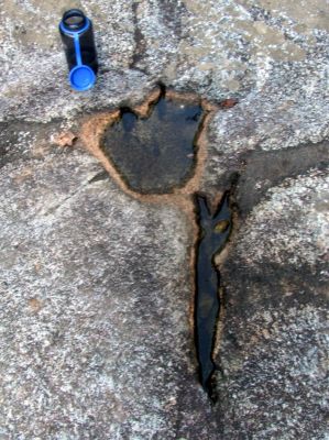 Hairntasaurus tracks found in the rock beside the cascades behind our campsite below Harper Falls
