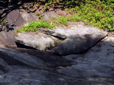 The arrowhead rocks I found on Harper Creek just over from our campsite below Harper Falls
