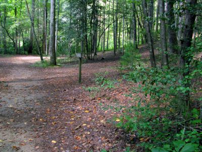 some of the bigger campsites at the trail intersection of Raider Camp Creek
