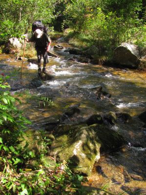 Bol'Dar crossing Harper Creek to get to the Raider Camp Creek trail
