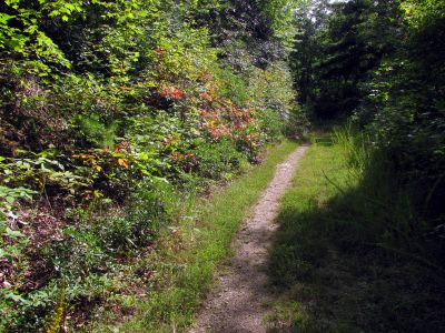 Trail on Chestnut Mountain

