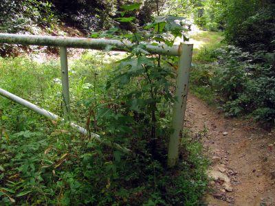 Gate on the trail across Chestnut Mountain
