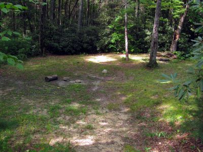 Trail on Chestnut Mountain
