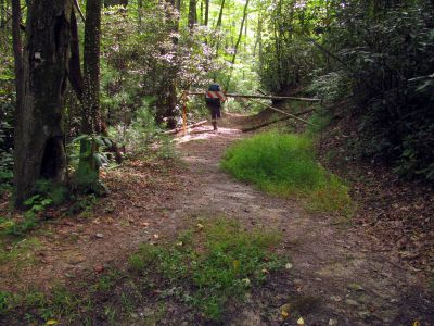 Another gate on the trail across Chestnut Mountain just before we began our descent towards Upper Creek on Day 5
