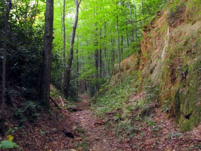 Trail leading down into Upper Creek 
