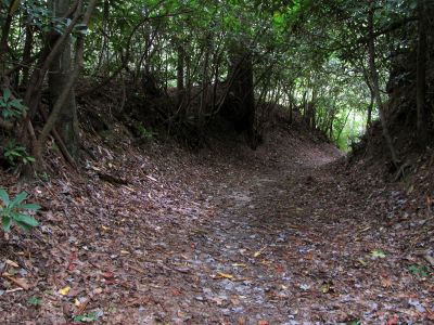 coming to Upper Creek 
