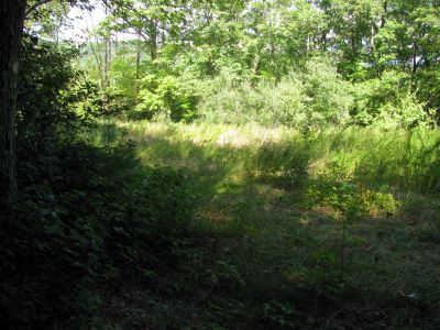 The field on top just before reaching NC highway 181
