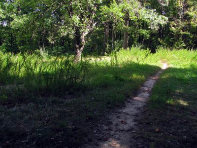 The field on top just before reaching NC highway 181
