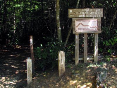 Signs at NC highway 181
