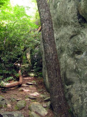 Nice rock formations we found hidden behind the trees along NC highway 181
