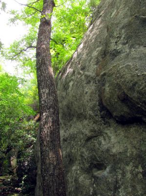 Nice rock formations we found hidden behind the trees along NC highway 181
