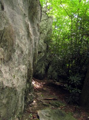 Nice rock formations we found hidden behind the trees along NC highway 181
