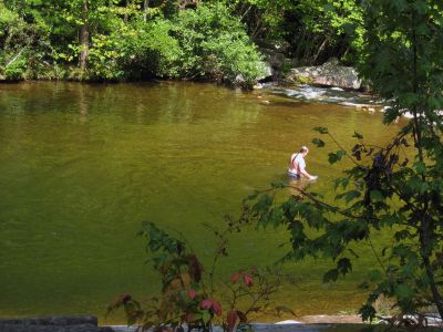 RAT swimming at Huntfish Falls
