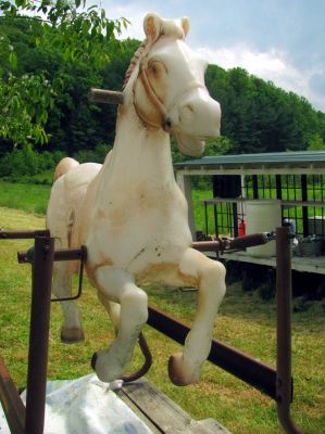 Some places have stripper poles. We have a horse. Oh Wilbur ! 
