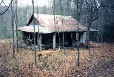 Lost Cove
Old house in Lost Cove  (taken in late 80`s)
