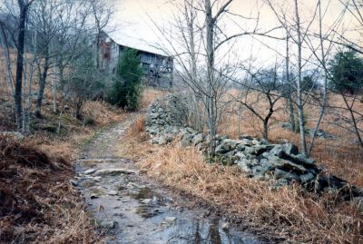 Lost Cove
The road through Lost Cove near the barn  (taken in late 80`s)
